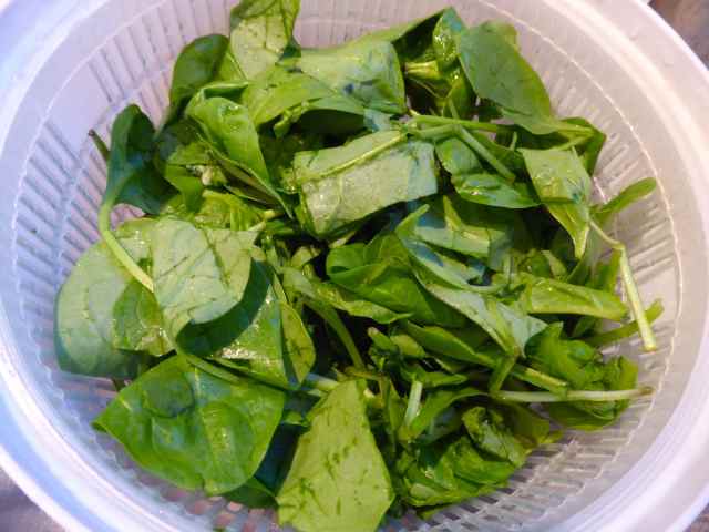 spinach in sink