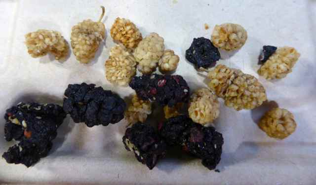 dried mulberries