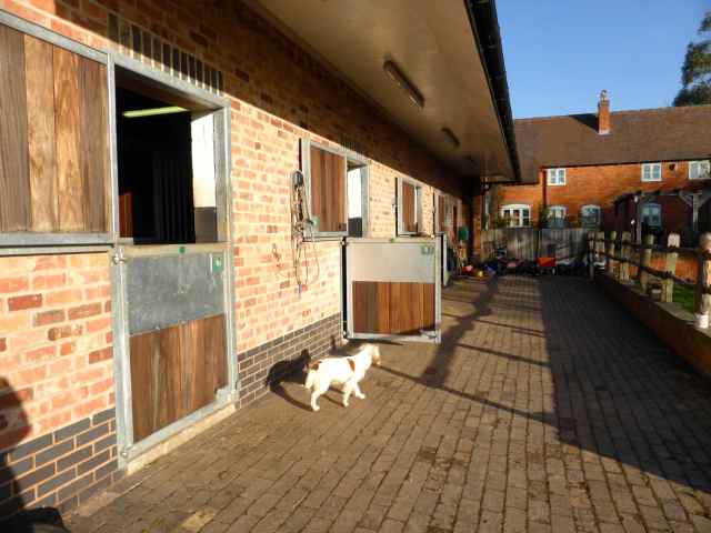 at the stables