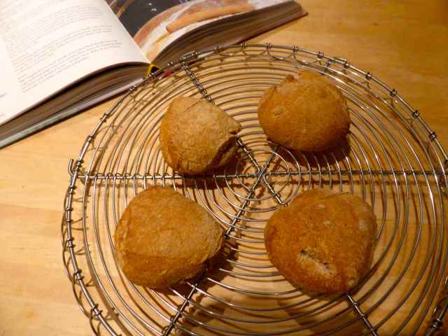 bread rolls 11-1-15