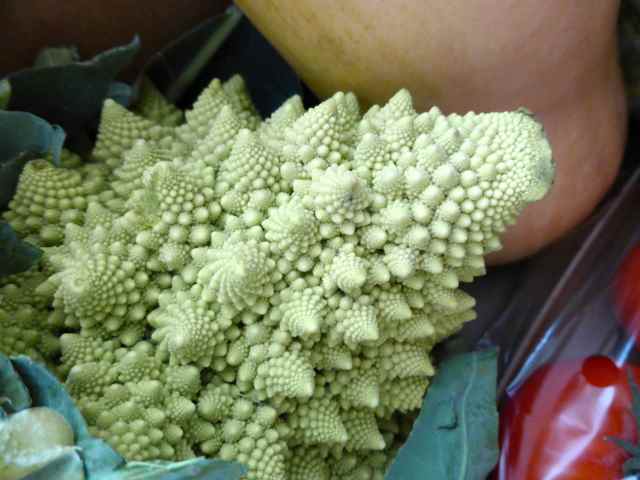 Romanesque cauli