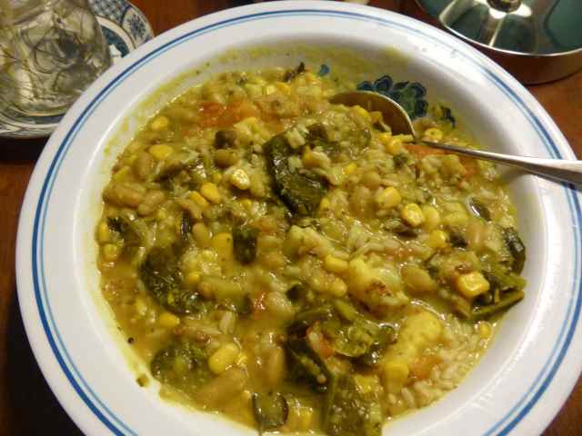 Keralan curry leftover