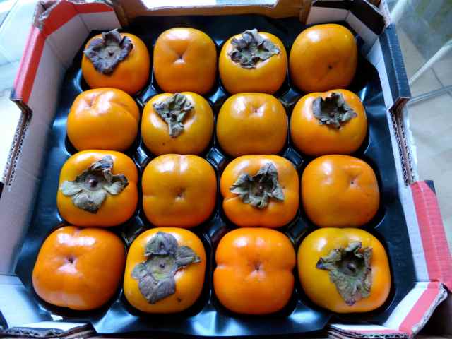 tray of persimmons