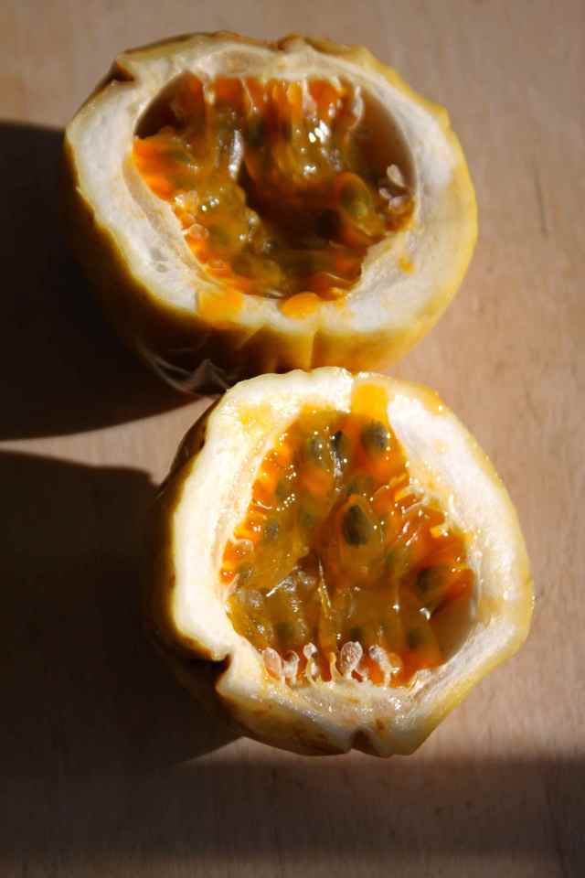 passion fruit