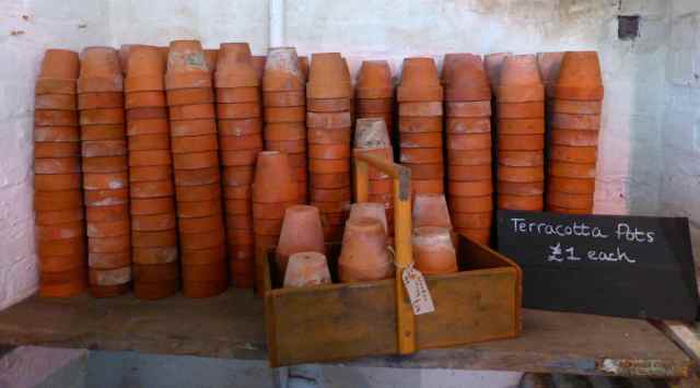 terracotta pots