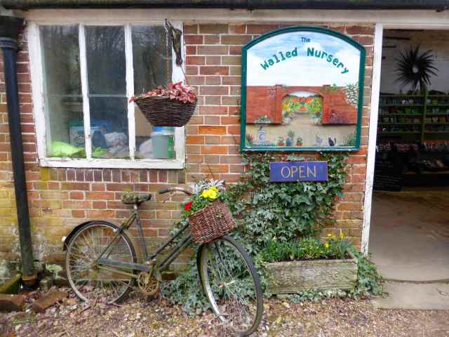 The Walled Nursery bicycle