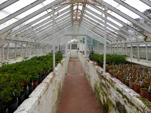 WN glasshouse