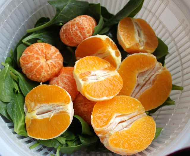 citrus and spinach in spinner