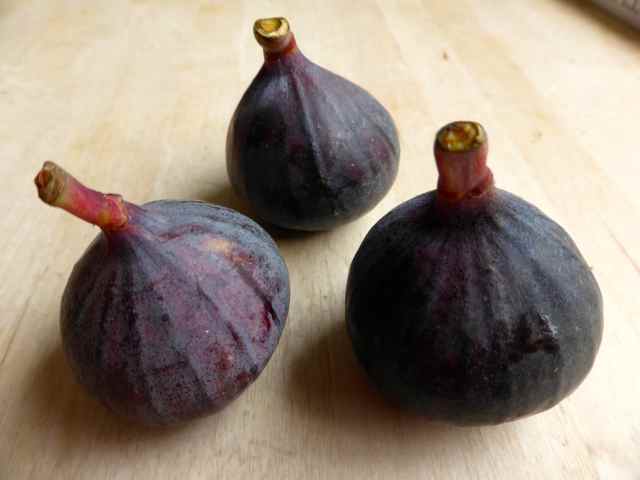 figs