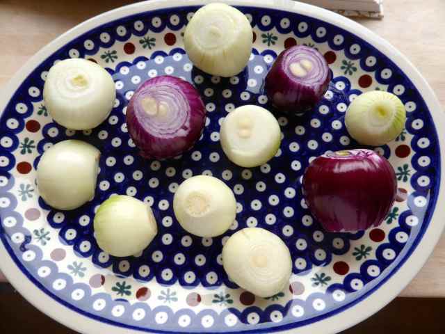onions ready for peeling