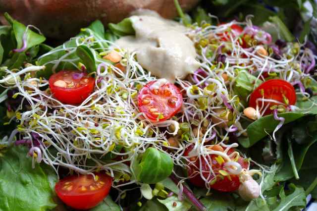 salad and sprouts