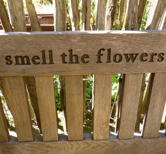 smell the flowers