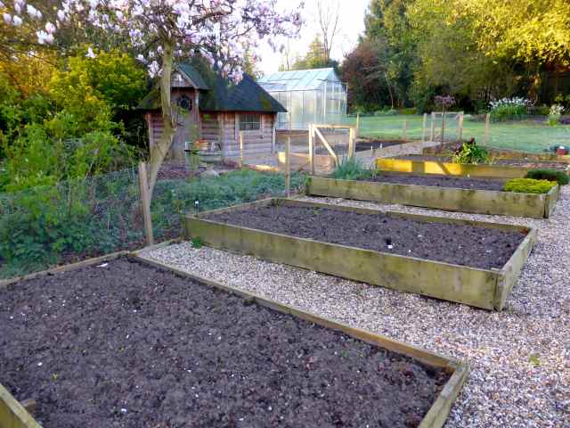 veg garden 04 2015