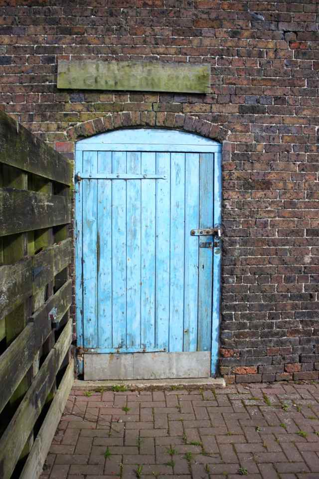 blue door