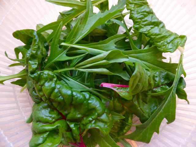 greens from garden