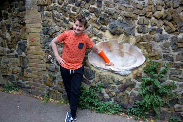 Harvey with large shell in wall