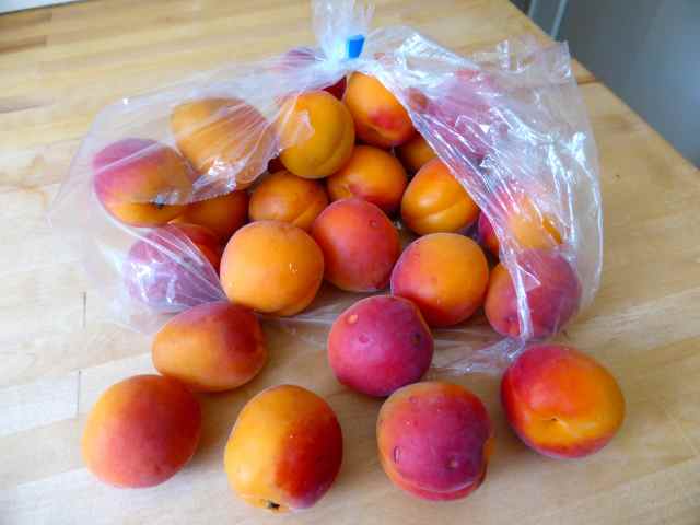 apricots 27-6