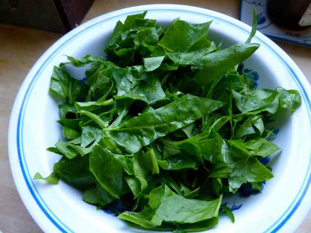 green leaves in bowl 27-6