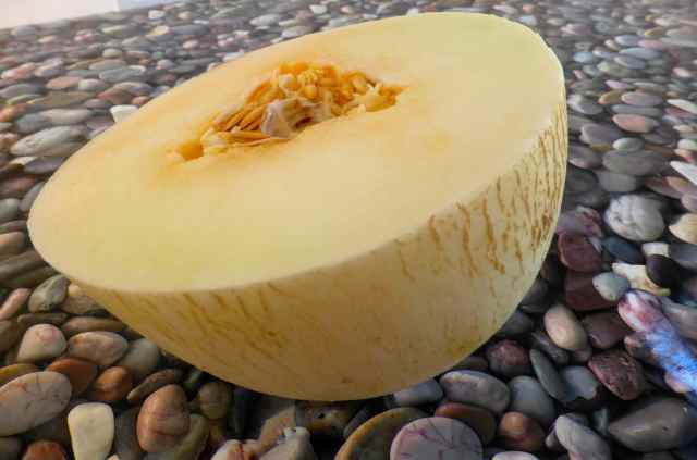 Portuguese melon