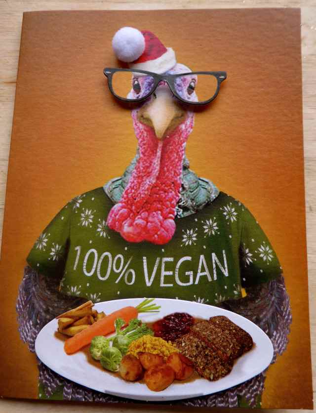 100% vegan