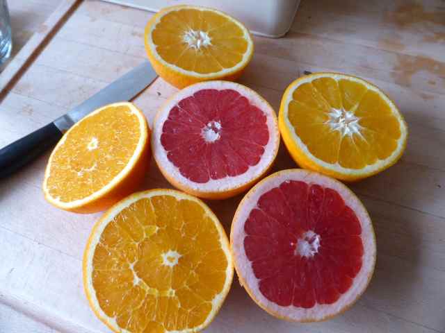 citrus for juicing