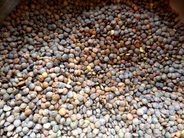lentils