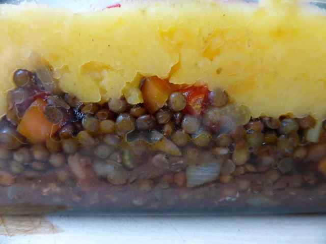 shepherd's pie close up 9-1-16
