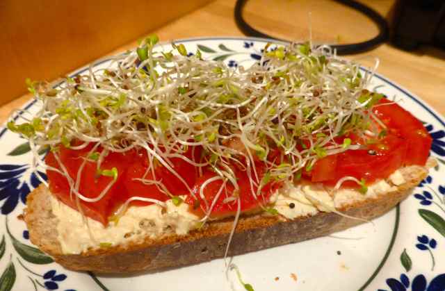 bread, houmous and alfalfa