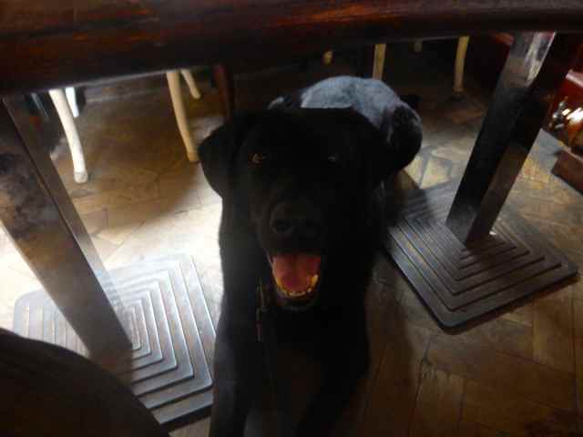 Milton in Begian Bar