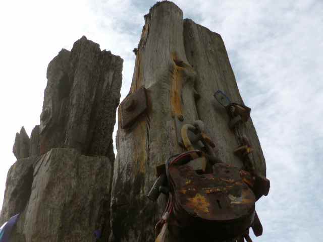 padlock on driftwood